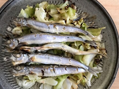 ししゃもとキャベツの酒蒸し